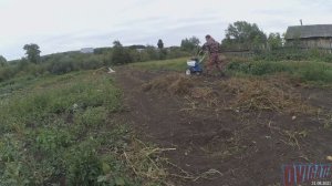 Уборка ботвы картофеля бороной Нева мб23