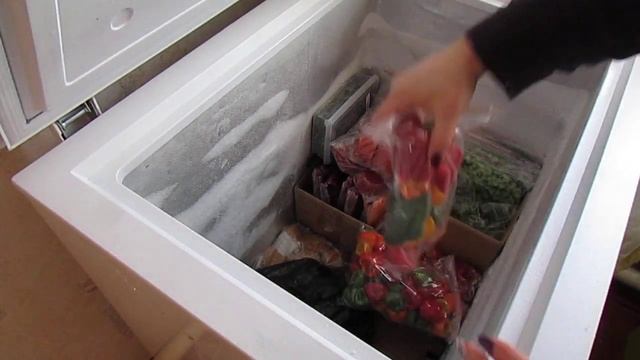 Обзор морозильной камеры. Часть 1.