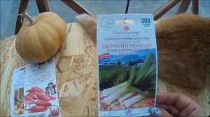 обзор сортов лука на 2021г