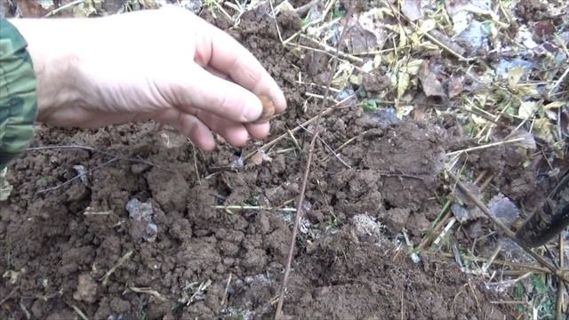 83 - Здесь был дом!!! смотреть онлайн