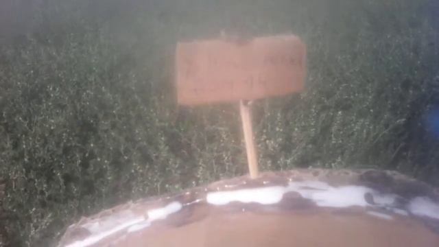 Вот как легко сделать домик из картона для кошки. смотреть онлайн