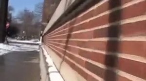 Panasonic SDR S7 First Light