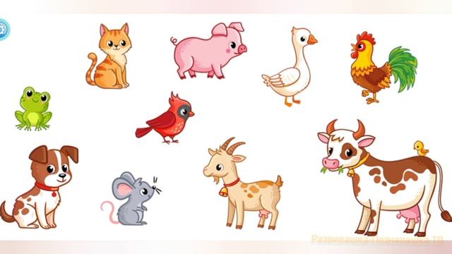 Как разговаривают животные