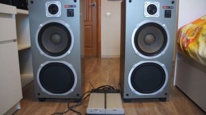 Sony SS-747 with Amplifier IRS2092S+ irfi4019H-11