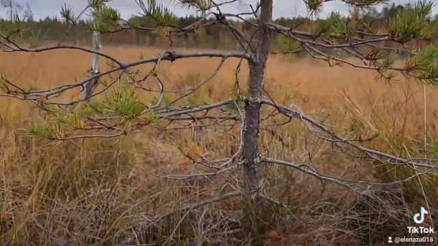 Все просто- клюква.? смотреть онлайн