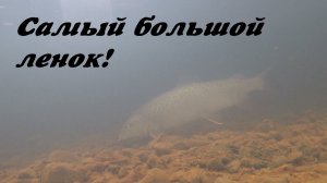 Самый крупный ленок которого я ловил! Как поймать ленка на мормышку весной?! Подводная съёмка.