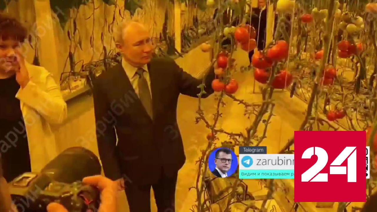 Путину на Чукотке показали теплицу с овощами - Россия 24