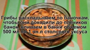 КАК ПРИГОТОВИТЬ РЫЖИКИ ГОРЯЧИМ СПОСОБОМ НА ЗИМУ? Вкусная и простая заготовка грибов на зиму в банка