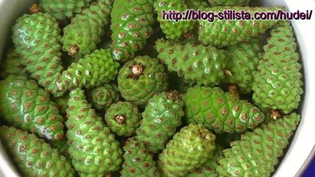 Детский сироп от кашля из сосновых шишек (сосновый мед) смотреть онлайн