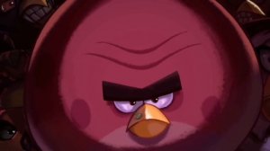 Всё про Бабблза: личность, характер, появления - Факты Angry Birds
