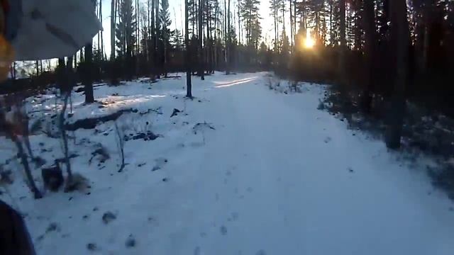 Мороз и солнце. Зимний трейл. смотреть онлайн