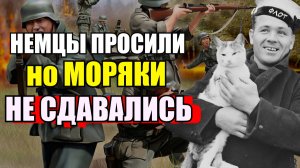 Героическая история про моряков и кота Матроскина при обороне Павло-Очаковской косы летом 1942 года