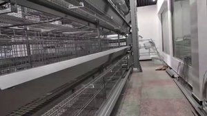 Клетки для кур несушек H тип. Клеточные оборудования для большой птицефабрики из Ливи.