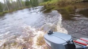 Nelma 290 + Yamaha 2