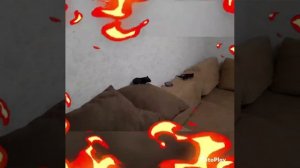 Миссия не выполнима??