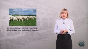 5 2  Кормление ремонтных телок