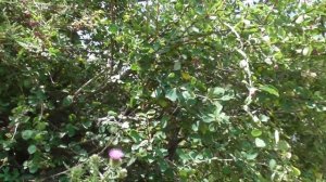 Талгар. У Михалыча.