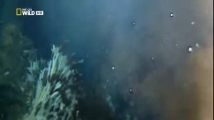 ?Самое глубокое место в мире | Тайны морских глубин ?