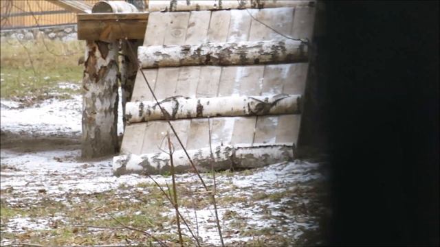 Обзор домика гепардов и дрессировка Коды 09.11.2022 смотреть онлайн