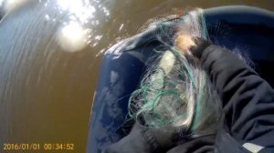 Рыбалка на Сети, Весна 2020, Рыбалка на сети с fisherman dv. 27 rus