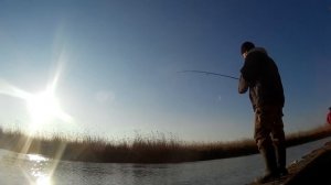 СУПЕР РЫБАЛКА!!! ЛОВЛЯ КАРАСЯ ВЕСНОЙ. CATCHING OF EUROPEAN CARP SPRING