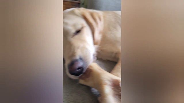 ВОТ И ПОДХОДИТ К КОНЦУ 2023 ГОД🎄30.12.23 смотреть онлайн