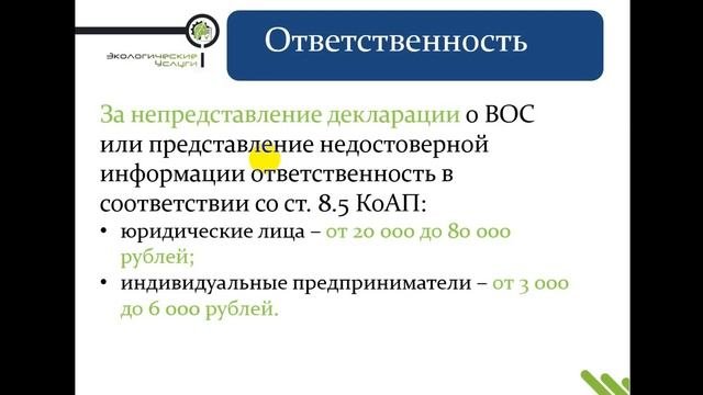 Декларация о негативном воздействии на окружающую среду