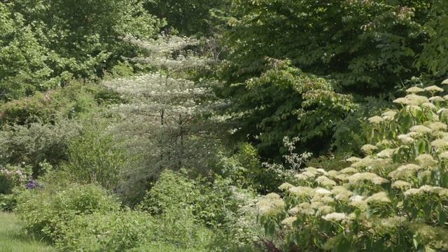 Ile de France : les Jardins de Berville смотреть онлайн