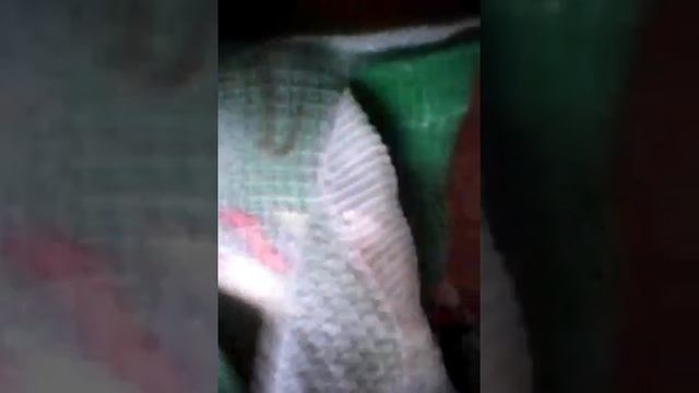 Как сделать татуировку:-) смотреть онлайн