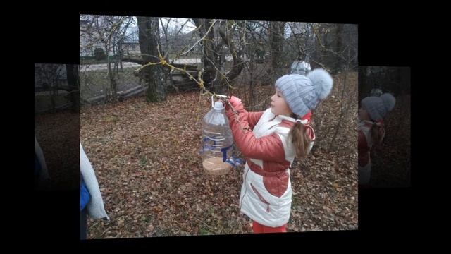 Годівничка для синички смотреть онлайн