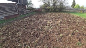 Вспашка огорода, посадка картофеля, секретное удобрение