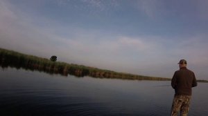 Лодка болотоход. Мотор болотоход. Рыбалка на щуку с Алексеем Яковина.