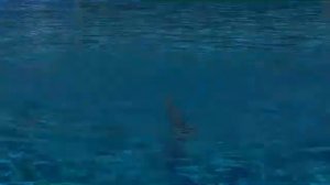 Фигура в синхронном плавании "Барракуда, выталкивание в шпагат"