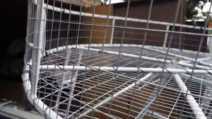 Аэролодка.Складная защита винта.