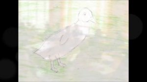 Сетевой проект "В гости к сказочнику"