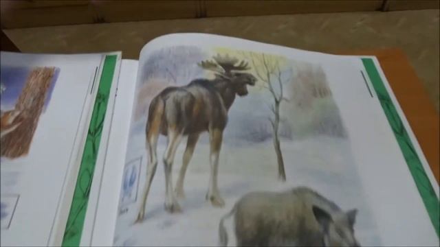 Экологические посиделки "Зимний лес" смотреть онлайн