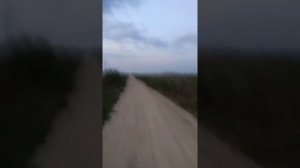 012 ПРИНЦИПЫ БЕГОВОЙ ТРЕНИРОВКИ ППДИВ. ВАСИЛИЙ ПАРНЯКОВ