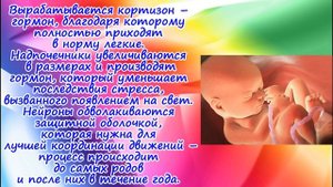 Развитие плода на 37 неделе беременности/Календарь беременности!