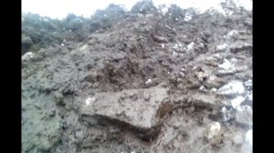 Трактор МТЗ 82 на колесах от комбайна месит болото