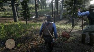 Где найти Превосходного ВОЛКА /Сразу и несколько/Red Dead Redemption 2/