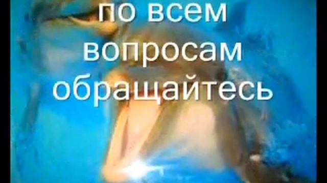 технология монтажа 3d полов, 3д полы своими руками Видео курс eko-pol.wix.com/bizz#!-3d---/c7tr смотреть онлайн