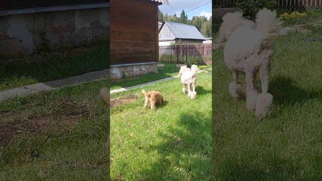 две девочки рождения 10.06.2023, 27 августа 2023 смотреть онлайн