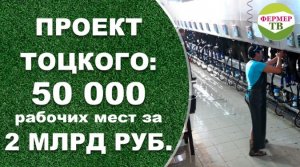 Проект Тоцкого: 50 000 рабочих мест за 2 млрд рублей