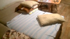 когда у тебя уиппет