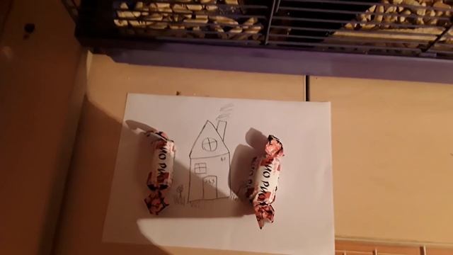 Как вызвать гномика исполняющего желания?