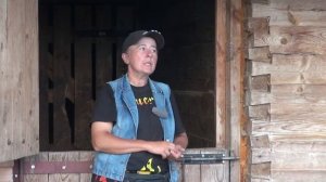 Купили лошадь - что с ней делать в первые дни