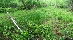 СНОВА# ЗА МЕТАЛЛОМ!!!  #ВЫРВАЛИСЬ В ТАЙГУ С БАТЕЙ# ДВА ДНЯ В ЛЕСУ# ТЯЖЕЛЫЙ МЕТАЛ И ДОРОГА! 2серия!