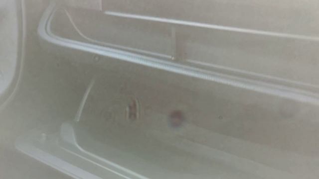 TOYOTA VITZ 2017 "F Smart Stop Package" Обзор смотреть онлайн