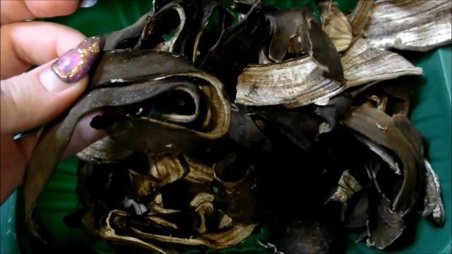 Удобрение из банановой кожуры. Как правильно заготовить кожуру.