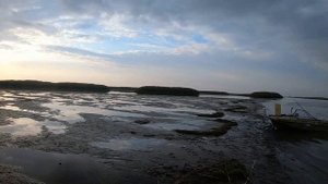 АСТРАХАНЬ.МАКОВО. октябрь 2021.МОРСКОЙ СУДАК.